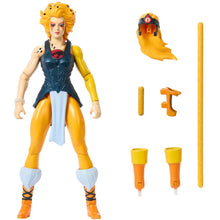 Load image into Gallery viewer, Masters of Universe Origins and ThunderCats Cheetara