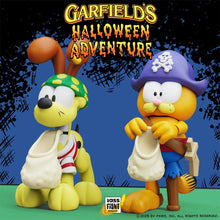 Load image into Gallery viewer, Garfield's Halloween Adventure Pirate Garfield and Pirate Odie Action Figure 2-Pack