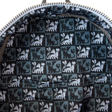 Load image into Gallery viewer, How to Train Your Dragon Furies Mini-Backpack