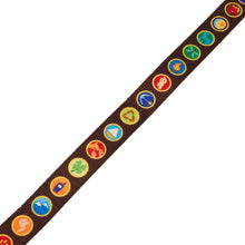 Load image into Gallery viewer, Up 15th Anniversary Wilderness Badges Leash
