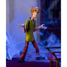 Load image into Gallery viewer, Scooby-Doo! Shaggy 1:12 Scale Action Figure