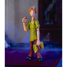 Load image into Gallery viewer, Scooby-Doo! Shaggy 1:12 Scale Action Figure
