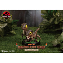 Load image into Gallery viewer, Jurassic Park Series MEA-047 Mini-Figure Blind Box