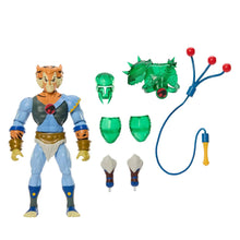 Load image into Gallery viewer, Masters of Universe Origins and ThunderCats Tygra