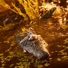 Load image into Gallery viewer, G.I. Joe Classified Series Croc Master and Alligator