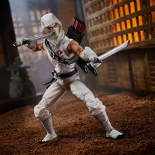 Load image into Gallery viewer, G.I. Joe Classified Series 6-Inch Storm Shadow