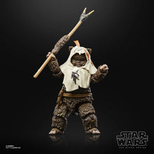 Load image into Gallery viewer, Star Wars The Black Series Return of the Jedi 40th Anniversary Paploo the Ewok