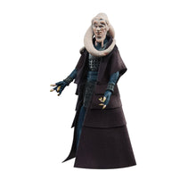 Load image into Gallery viewer, Star Wars The Vintage Collection Bib Fortuna