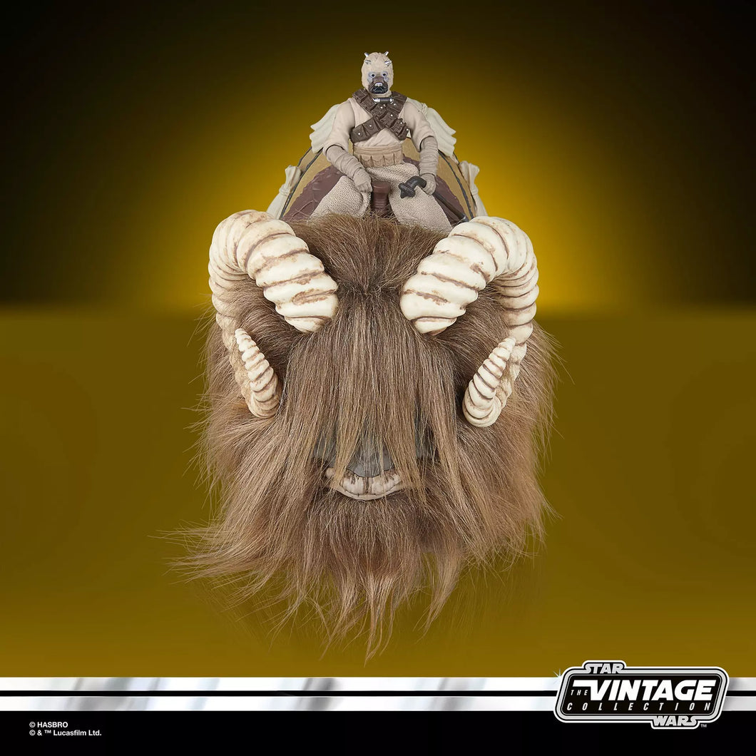 STAR WARS The Vintage Collection Bantha & Tusken Raider 2-Pack